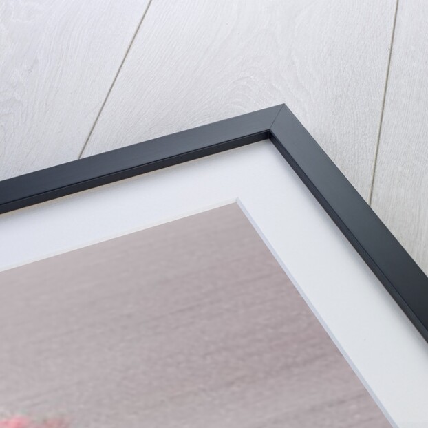 Single tree in foggy field by Assaf Frank